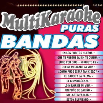 Multi Karaoke No Lastimes Mas