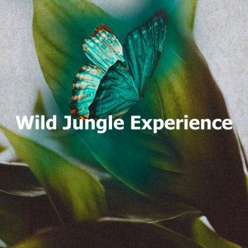 Sounds of the Jungle Lily Alps