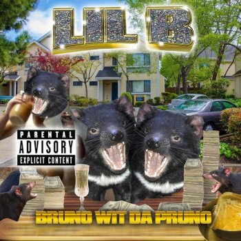 Lil B feat. The BasedGod Net Worth Instrumental