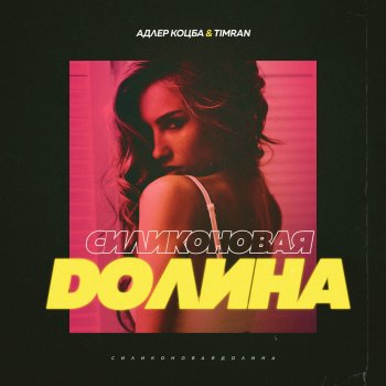 Адлер Коцба & Timran Силиконовая долина