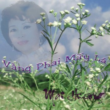 Mai Hương Mua Hoa No