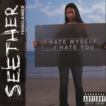 Seether Fuck It