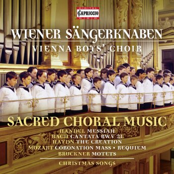 Traditional feat. Vienna Boys' Choir & Peter Marschik Still, Still, Still