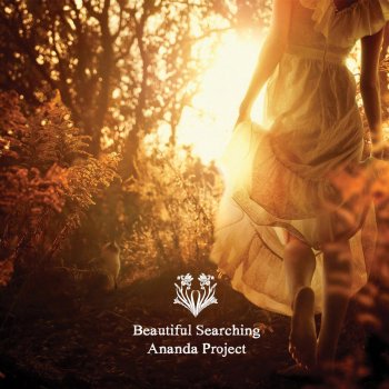 Ananda Project In the Light of Evening (Interlude)