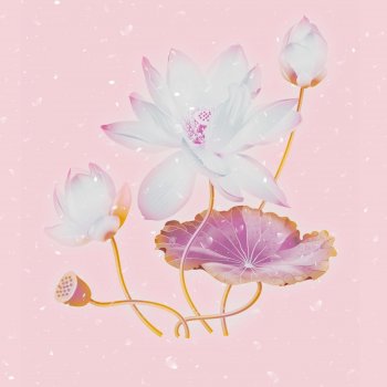 Pèlle Youreko Fiori di loto
