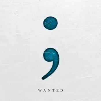 Citizen Soldier Wanted