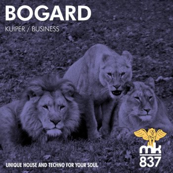 Bogard (UK) Groovy Business