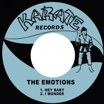 The Emotions I Wonder