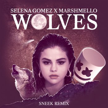 Selena Gomez Wolves (Sneek Remix)