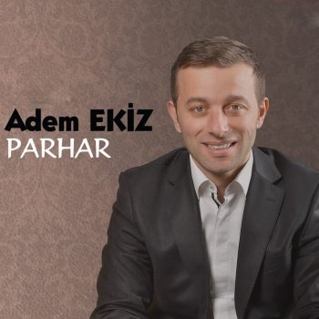 Adem Ekiz Kış Kış Tavuklar