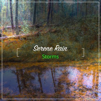 The Sound Reserve 9 Minute Loopable Heavy Rain