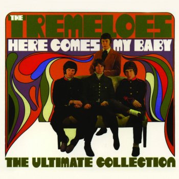 The Tremeloes My Woman - 1971 Recording