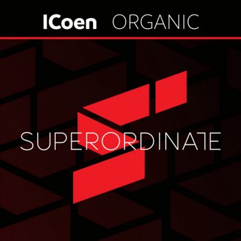 iCoen Schwarzschild Radius