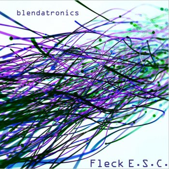 Fleck E.S.C. Watching Drone