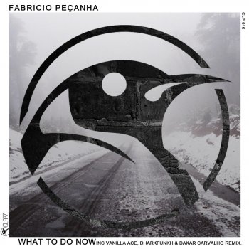 Fabricio Pecanha What to Do Now (Vanilla Ace & Dharkfunkh Remix)