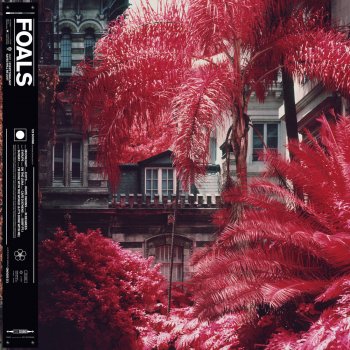 Foals White Onions