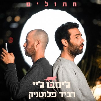 Jimbo J feat. Ravid Plotnik חתולים