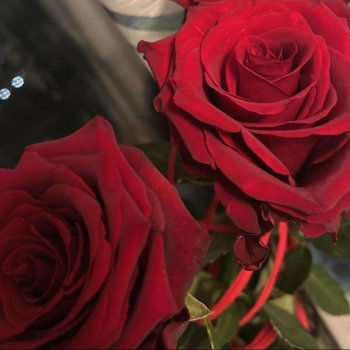 Исполнитель Moris, альбом Miłość