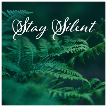 Calming Music Sanctuary Serenity Connection