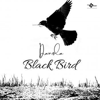 Danola Black Bird