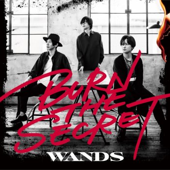 WANDS アイリメンバーU