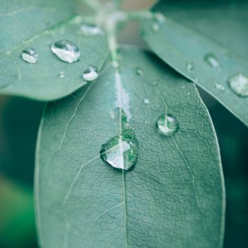 Baby Shusher Pink Noise with Pouring Rain for Sleep – Looped