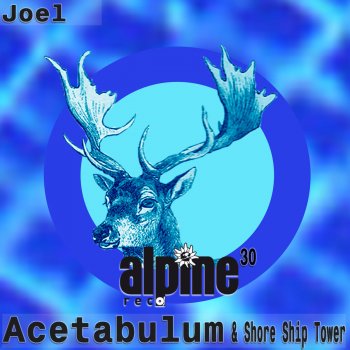 Joel Acetabulum