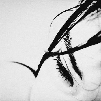 Psychosis свет