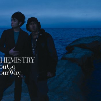 Chemistry You Go Your Way (radio edit)