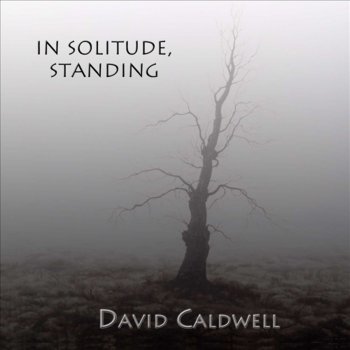 Исполнитель David Caldwell, альбом In Solitude Standing