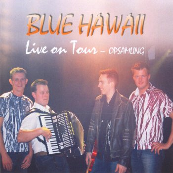 Blue Hawaii En Stor Buket Røde Roser