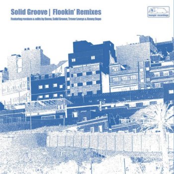 Solid Groove Flookin' (Domu's Lucky Break Mix)