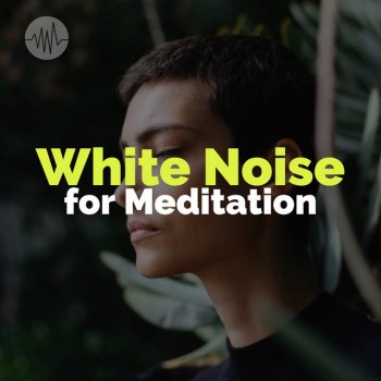 White Noise Ambience feat. White Noise Meditation White Noise - Delta