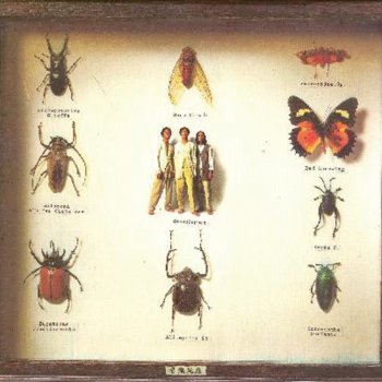 草蜢 Piano Prelude (Instrumental)