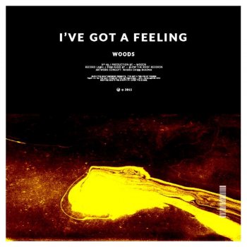 Woods I've Got A Feeling - Original Mix