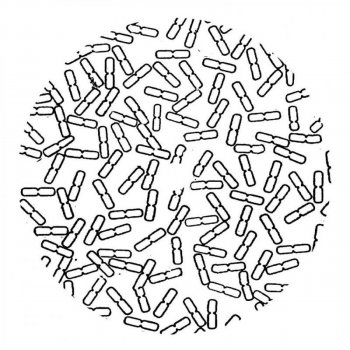 Исполнитель Philus, альбом Kolmio EP