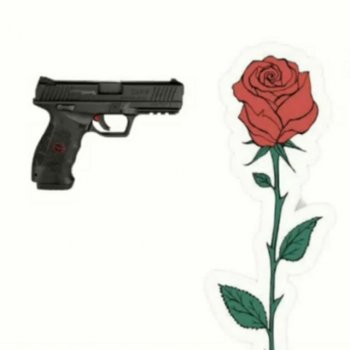 Skullyoskully Roses&guns