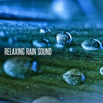 Relaxing Rain Sounds Rainfall on Skylight