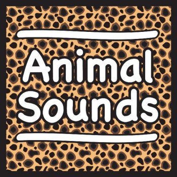 Sound Effects Cats & Kittens