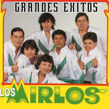 Los Mirlos Recuerdos