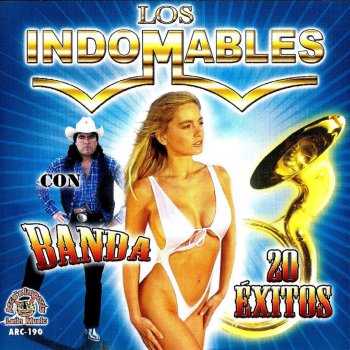 Los Indomables Arena De Rodeo