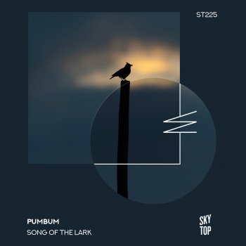 pumbum Song of the Lark (Extended Mix)