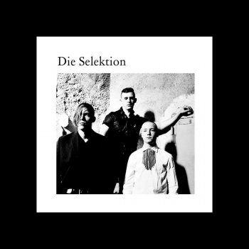 Die Selektion Dust