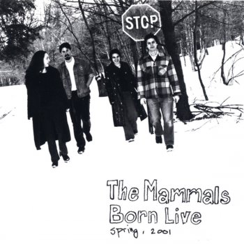 The Mammals Four Blue Walls