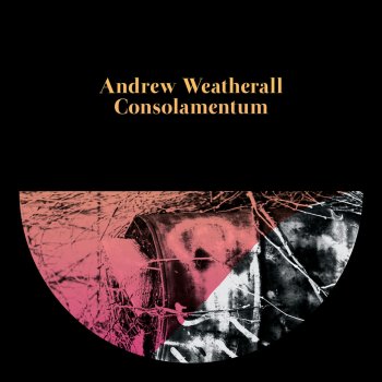 Andrew Weatherall Frankfurt Advice (Heretic Remix)