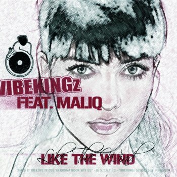 Vibekingz Like the Wind (radio edit)