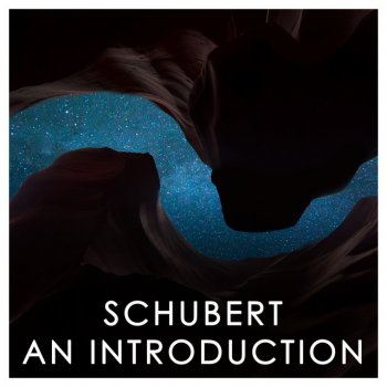 Franz Schubert feat. Anne-Sophie Mutter & Daniil Trifonov Ellens Gesang III, Op. 52, No.6, D 839: Ave Maria In B Flat Major (Arr. For Violin And Piano)