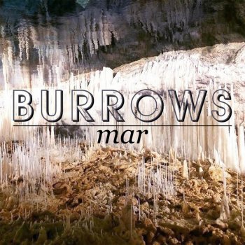 Burrows The Timeline Ends