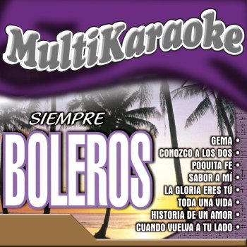 Multi Karaoke Poquita Fe
