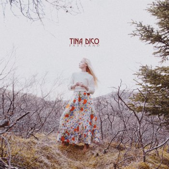 Tina Dico Fancy